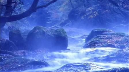 矿工打地鼠